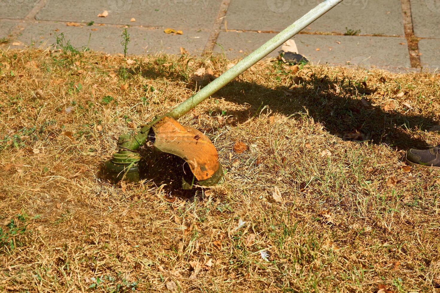 Summer grass cutting on lawns with a mini handle lawn mower photo