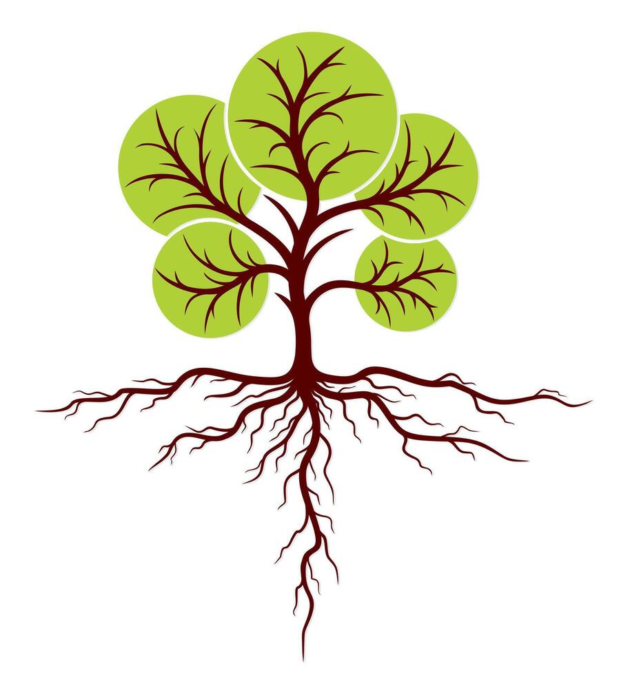 Tree Logo with roots. vector