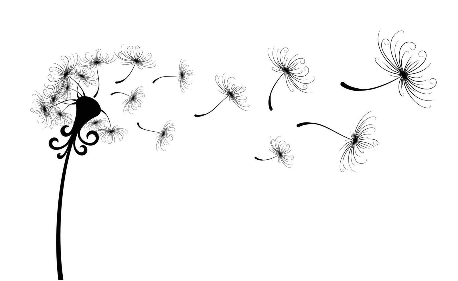 Flowers field dandelion with flying seeds. vector