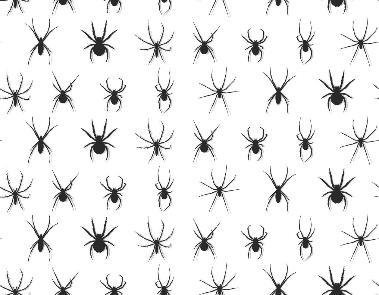 Seamless background with spiders. vector