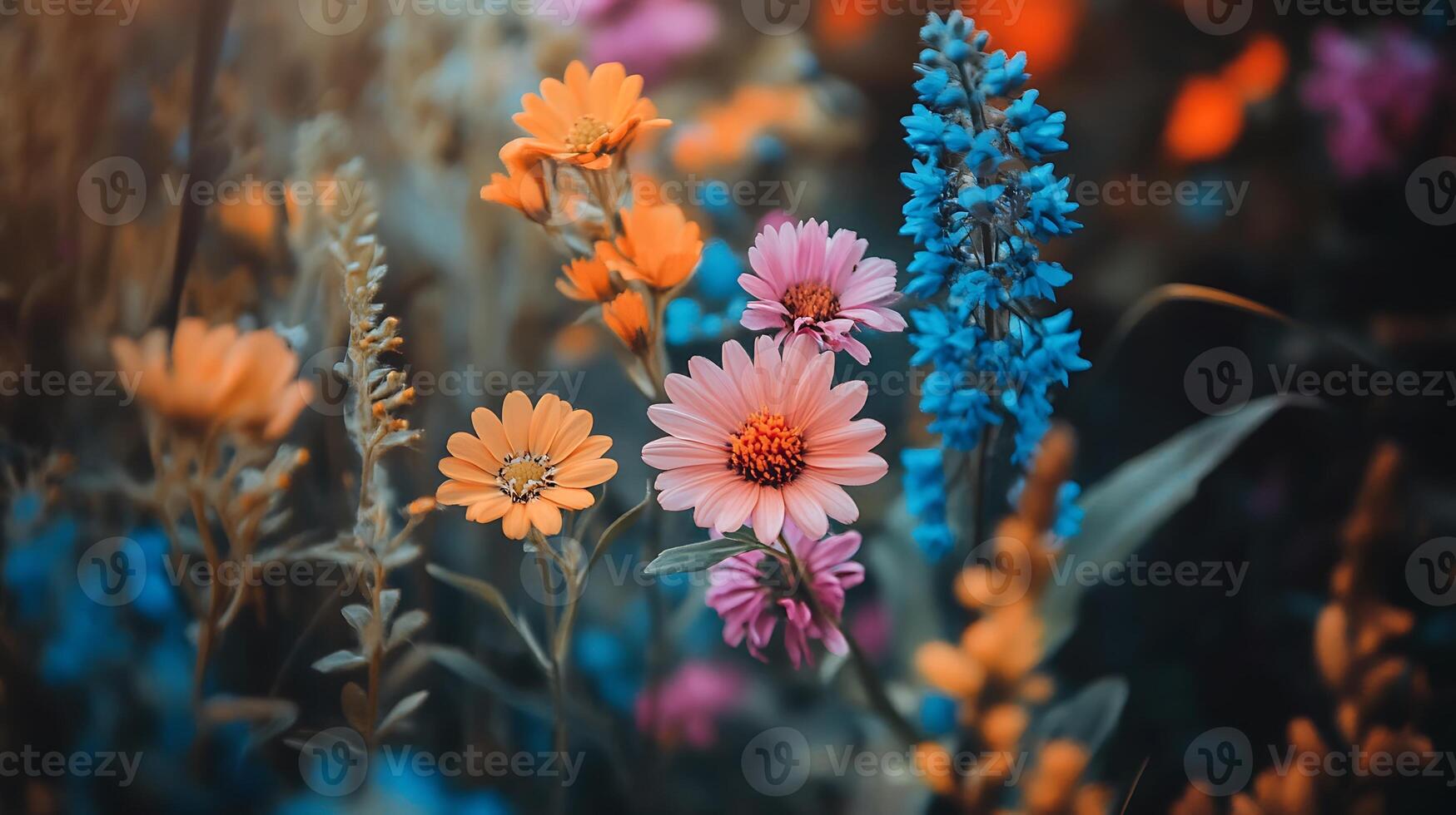 Colorful flowers in a field with a blurred background photo