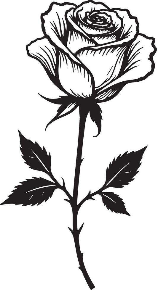 A Rose line art silhouette vector