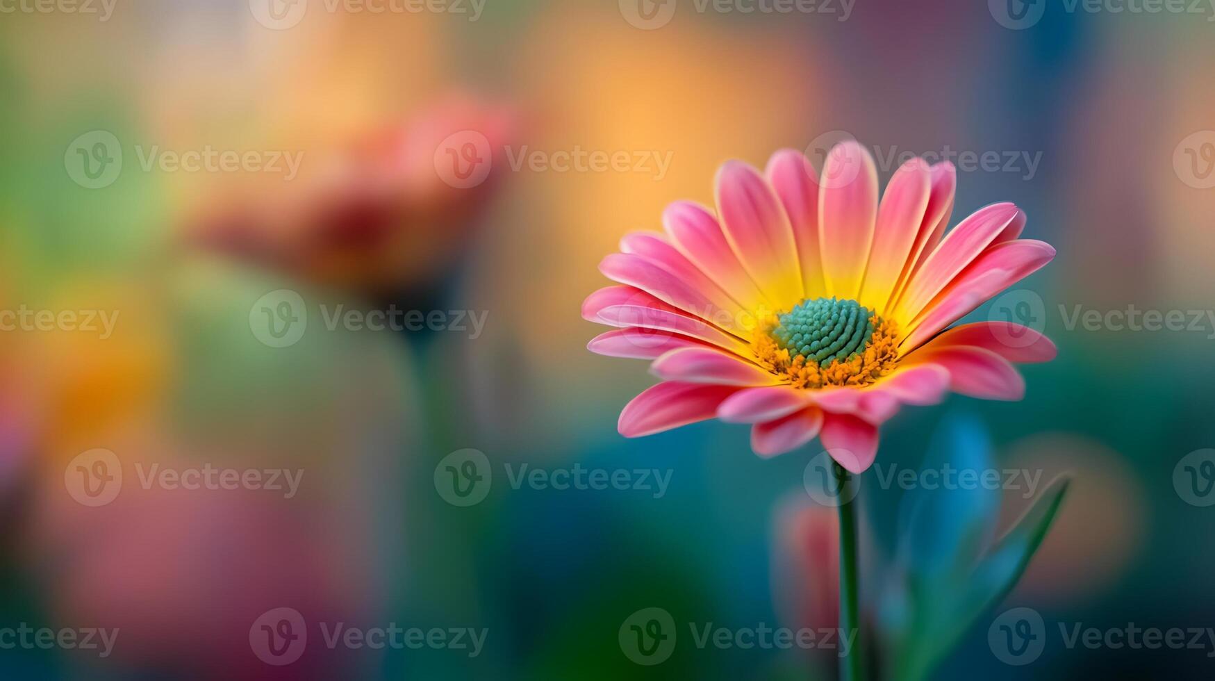 A pink flower with a green center in front of a blurred background photo