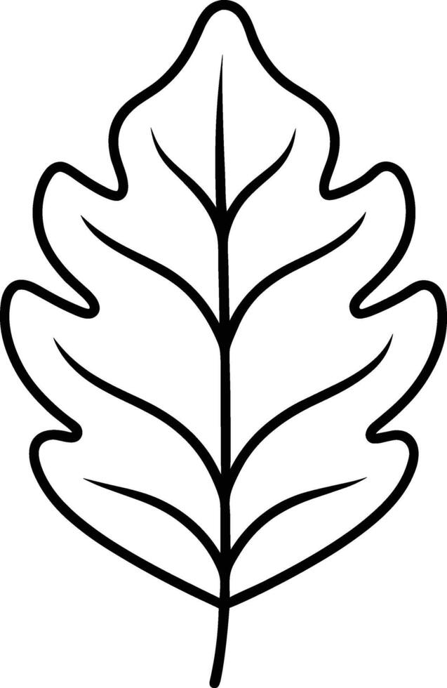 Simple Oak Leaf Outline - Elegant Autumn Fall Illustration vector