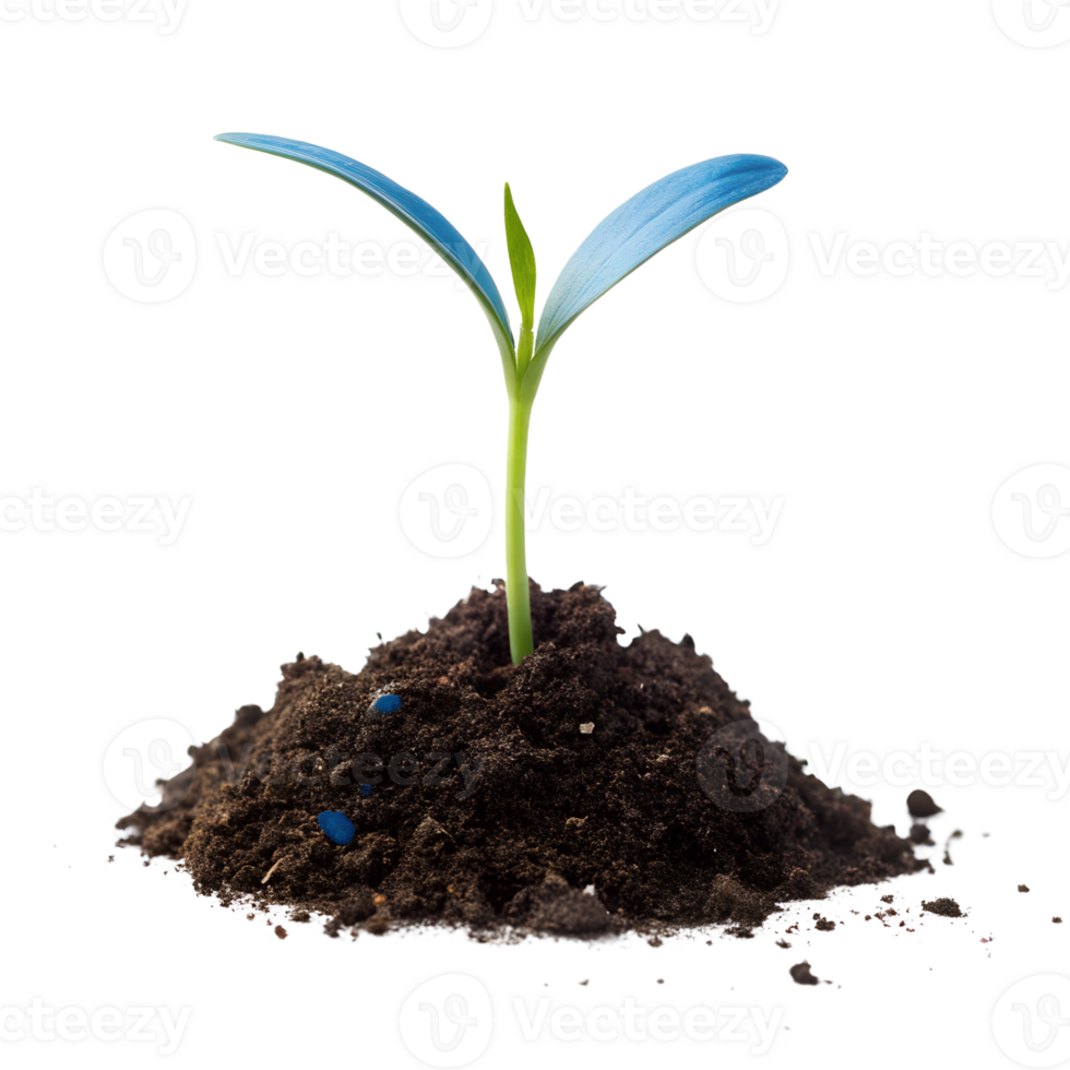Fantasy Blue Plant Sprout with Fresh Leaves in Soil on Transparent Background png