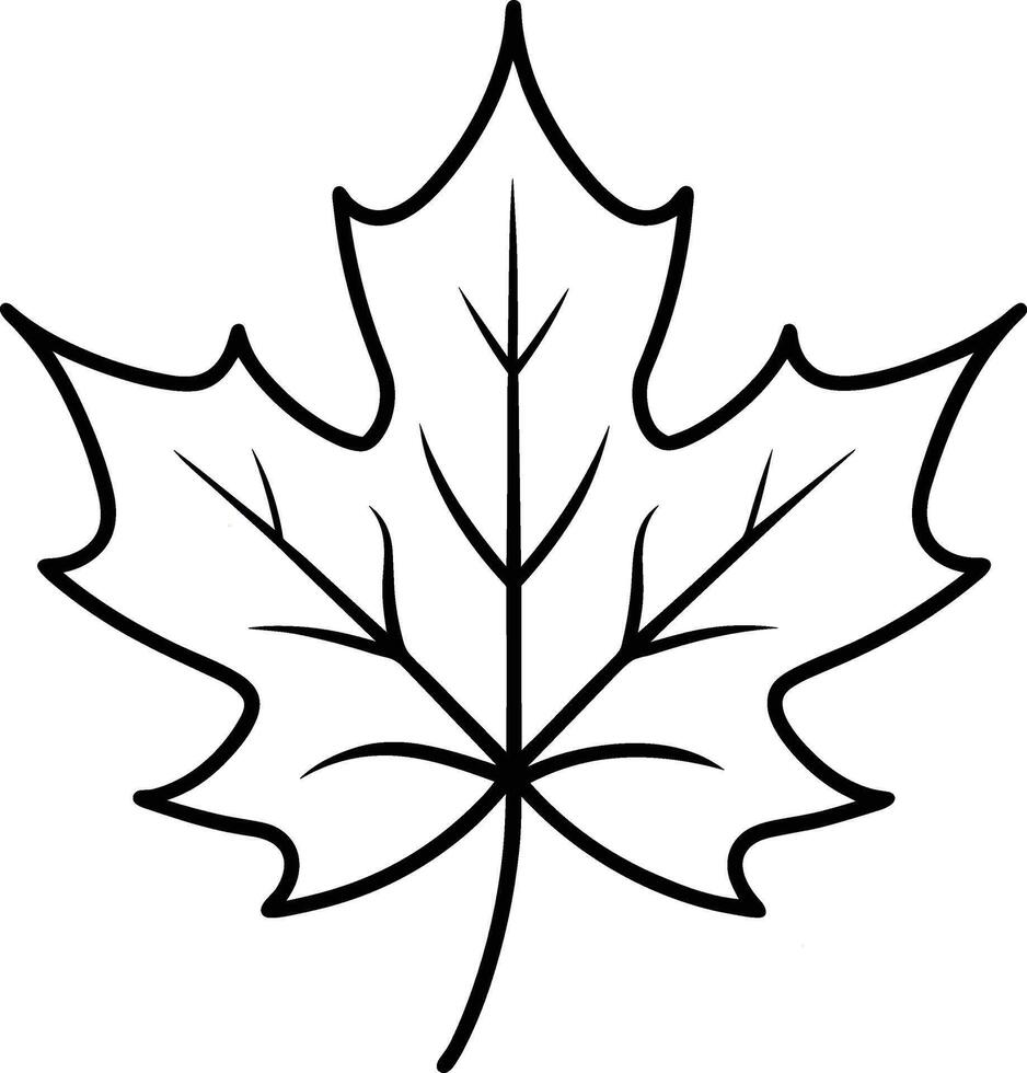 A Hand-Drawn Maple Leaf Outline - Minimalist Illustration vector