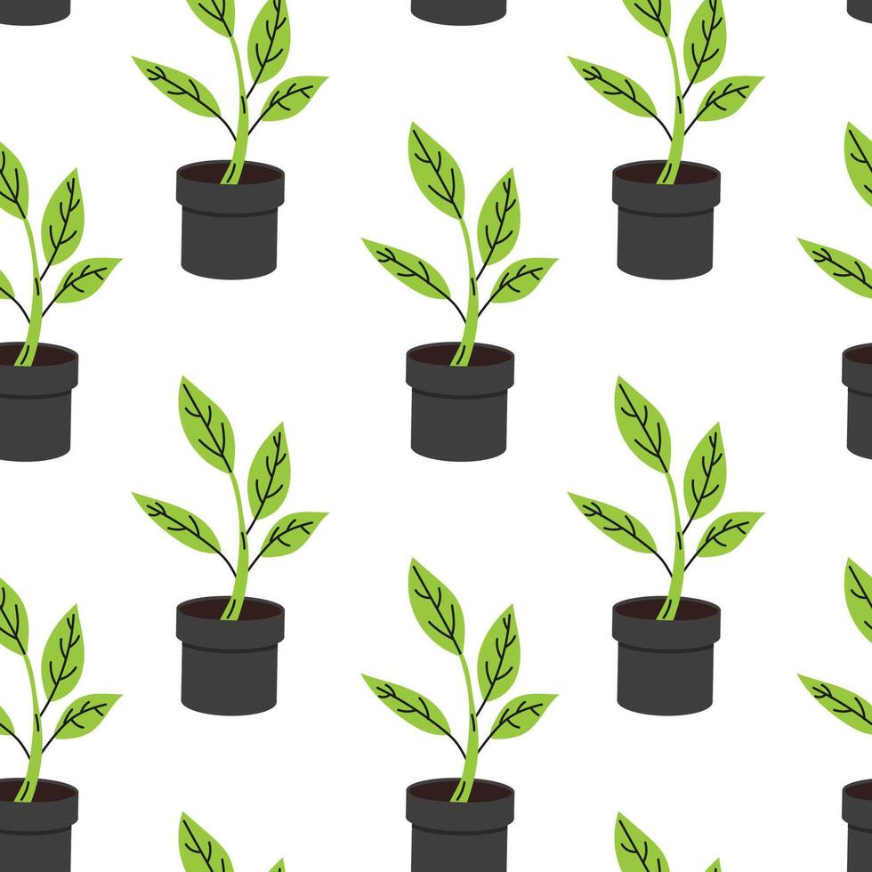 Pattern of green plants in black pots on white background for home decor vector