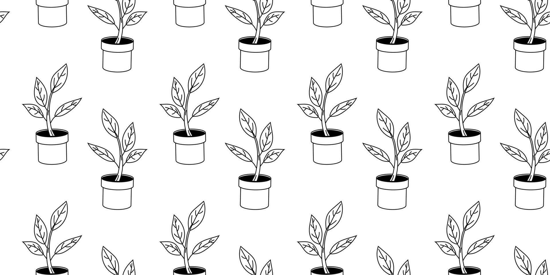 Pattern of line-drawn potted plants on a simple white background vector