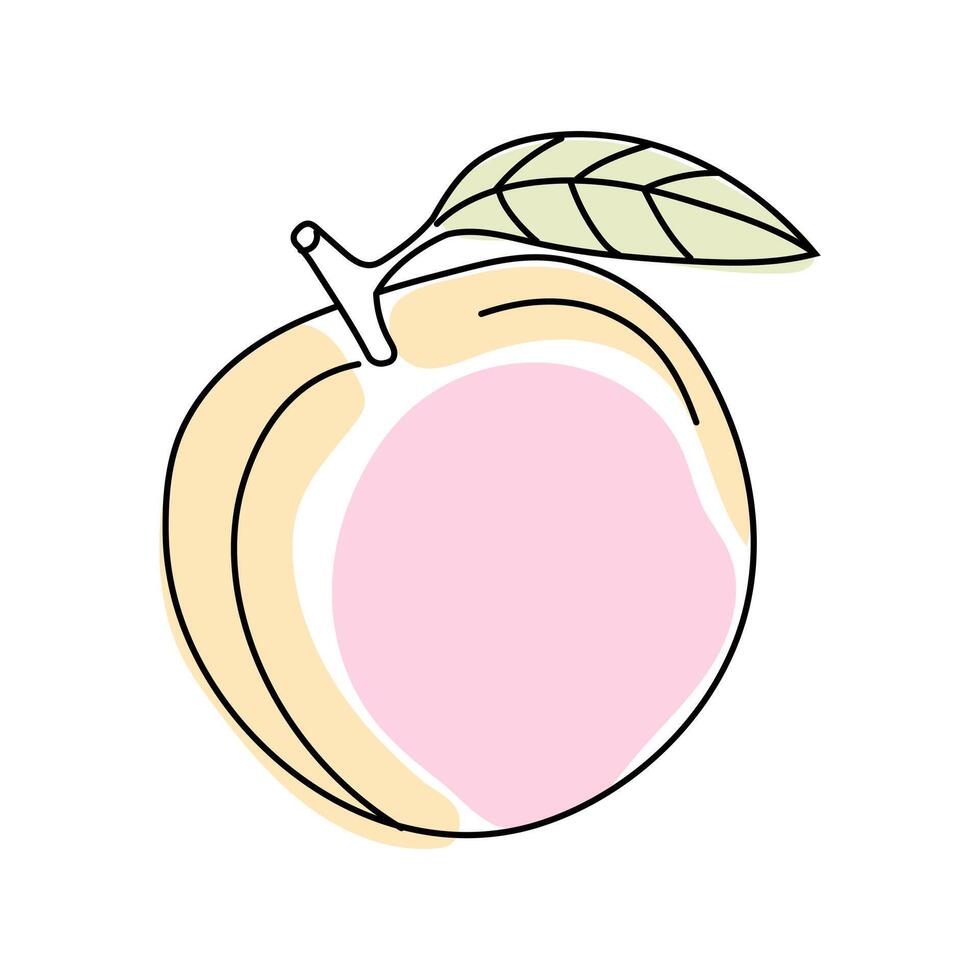 Fresh peach illustration featuring light colors and a green leaf on a white background vector