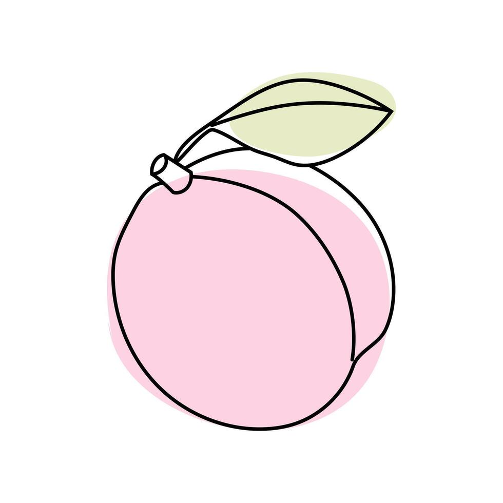 Colorful peach with a leaf on a light background captured in a minimalist style vector