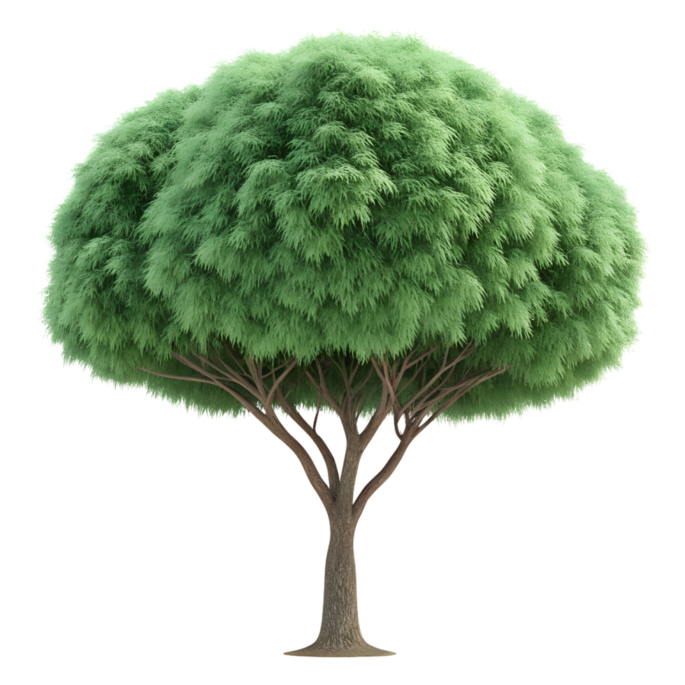 3D Green Fluffy Tree with Fur Effect Isolated on Transparent Background png