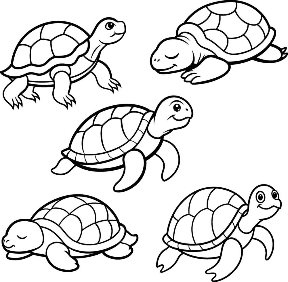 A beautiful turtle line art collection. vector