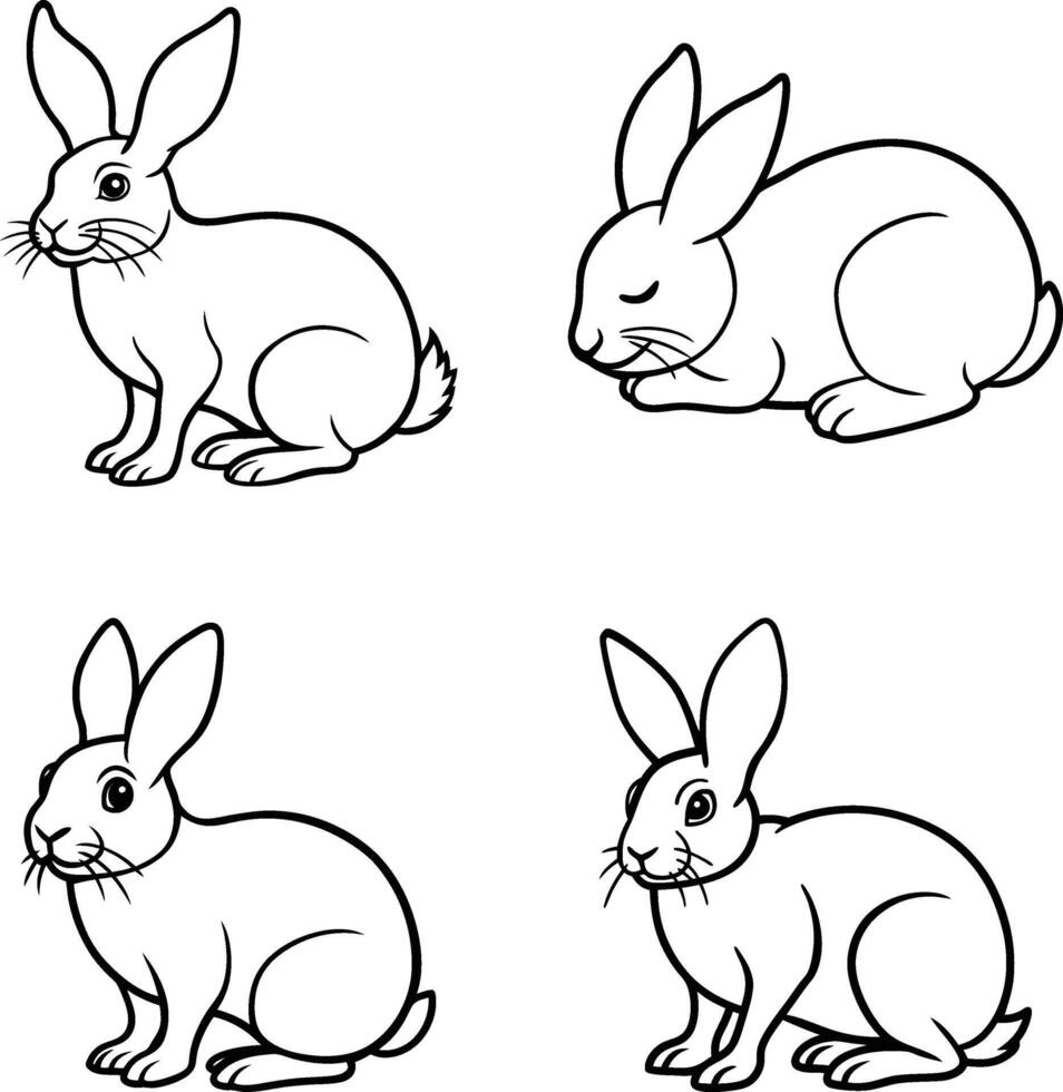 Beautiful rabbit line art collection. vector