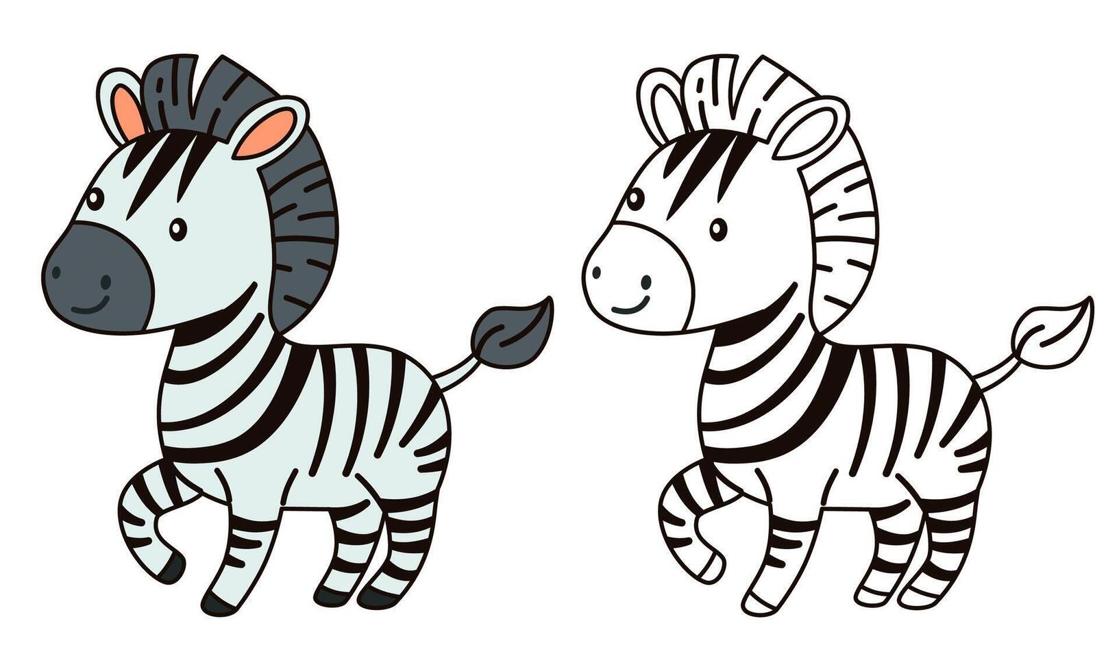 Flat illustration for children's coloring book. Cute zebra in black and white and color version. Wild animals of safari and Africa vector
