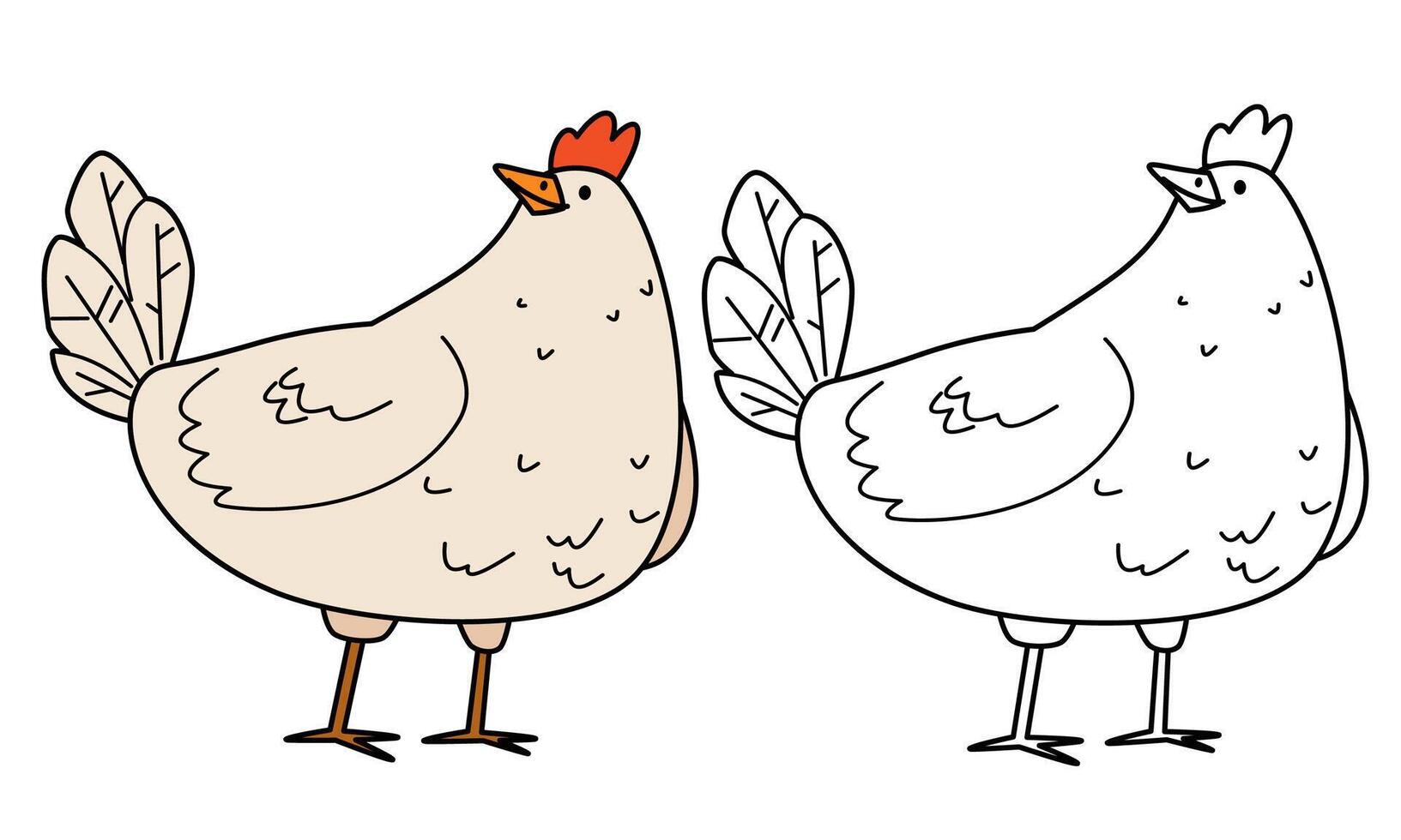 Flat illustration for children's coloring book. Cute chicken in black and white and color version. Farm pets vector
