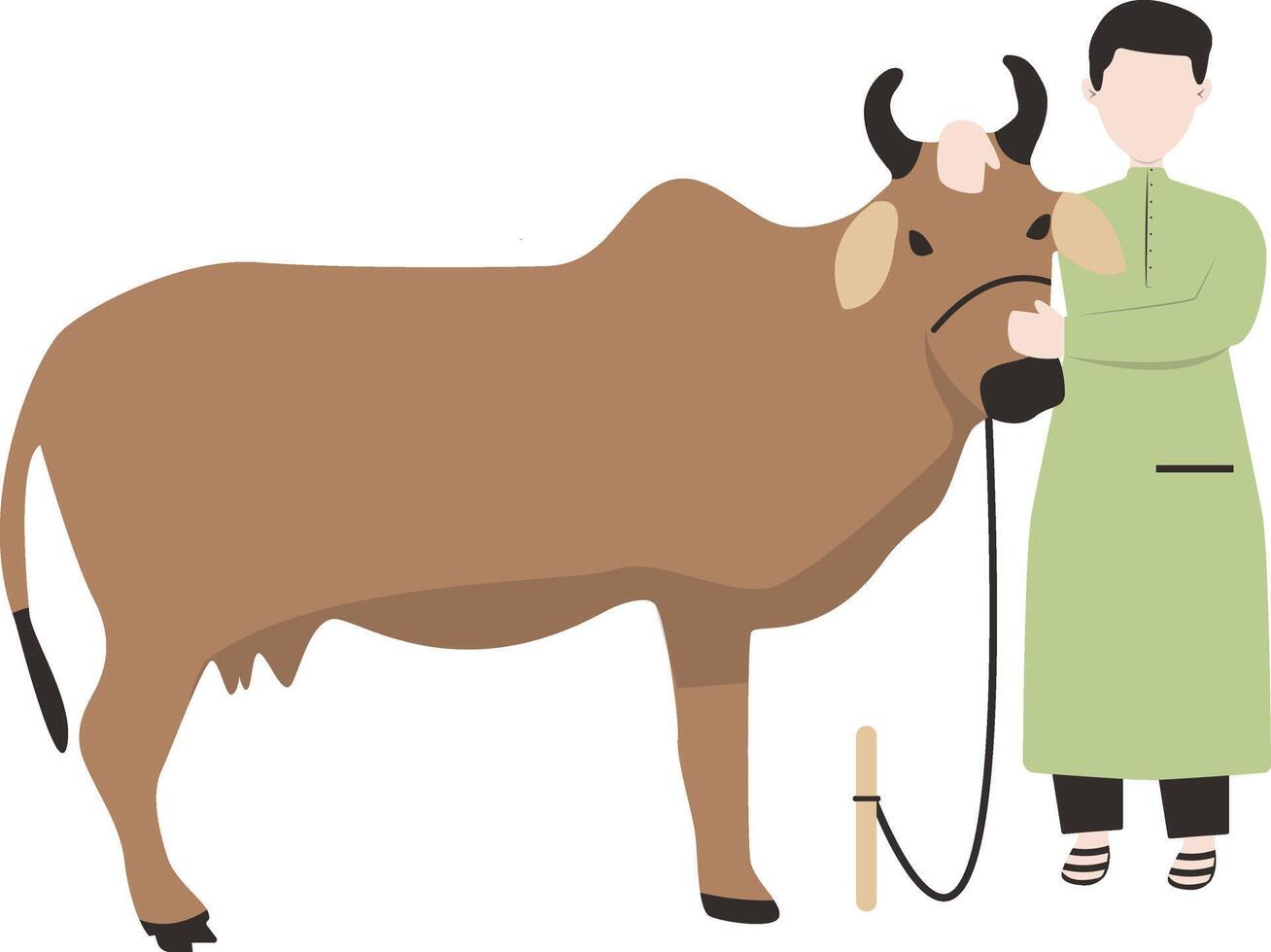 Muslim Man Eid Al adha Character with Sacrifice Cow. Isolated on White Background vector