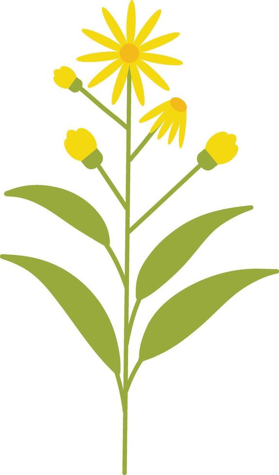 Spring Flower with Yellow Color vector