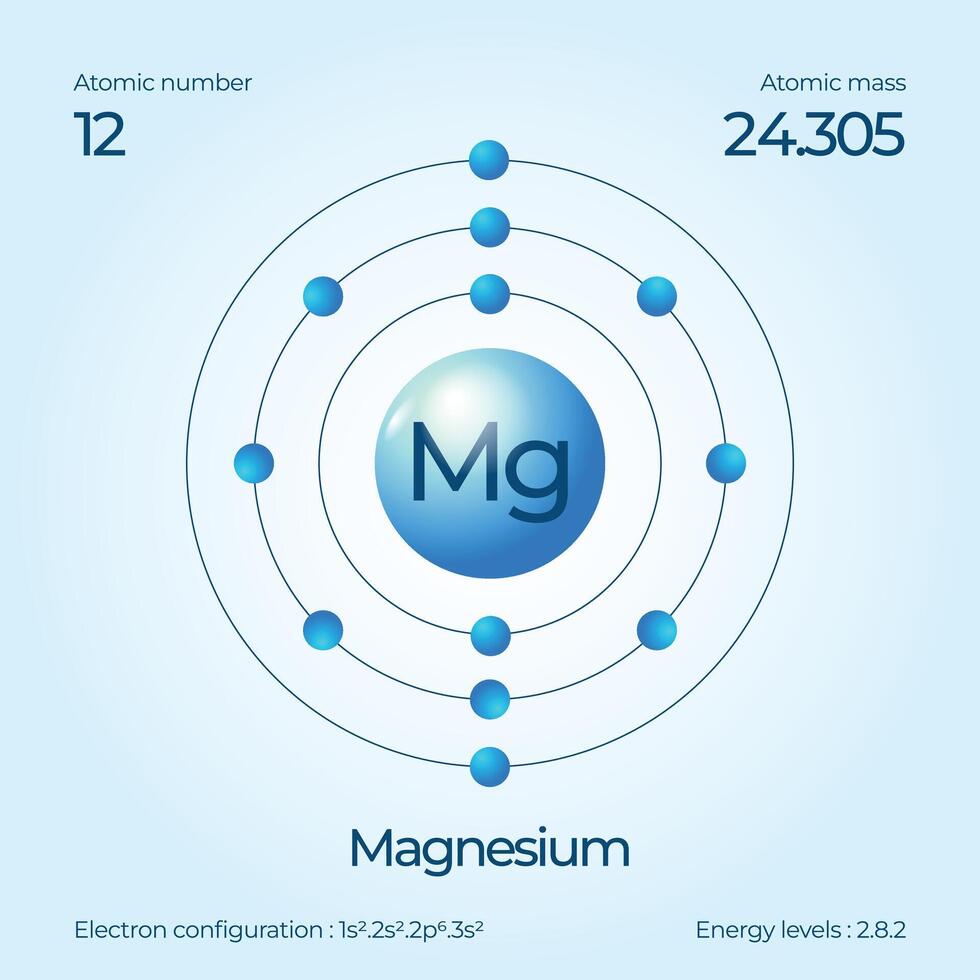 Atomic structure illustration Magnesium vector