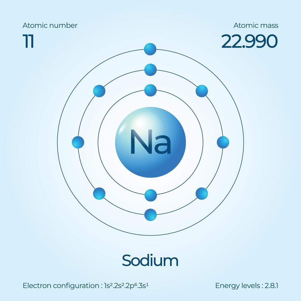 Atomic structure illustration Sodium vector
