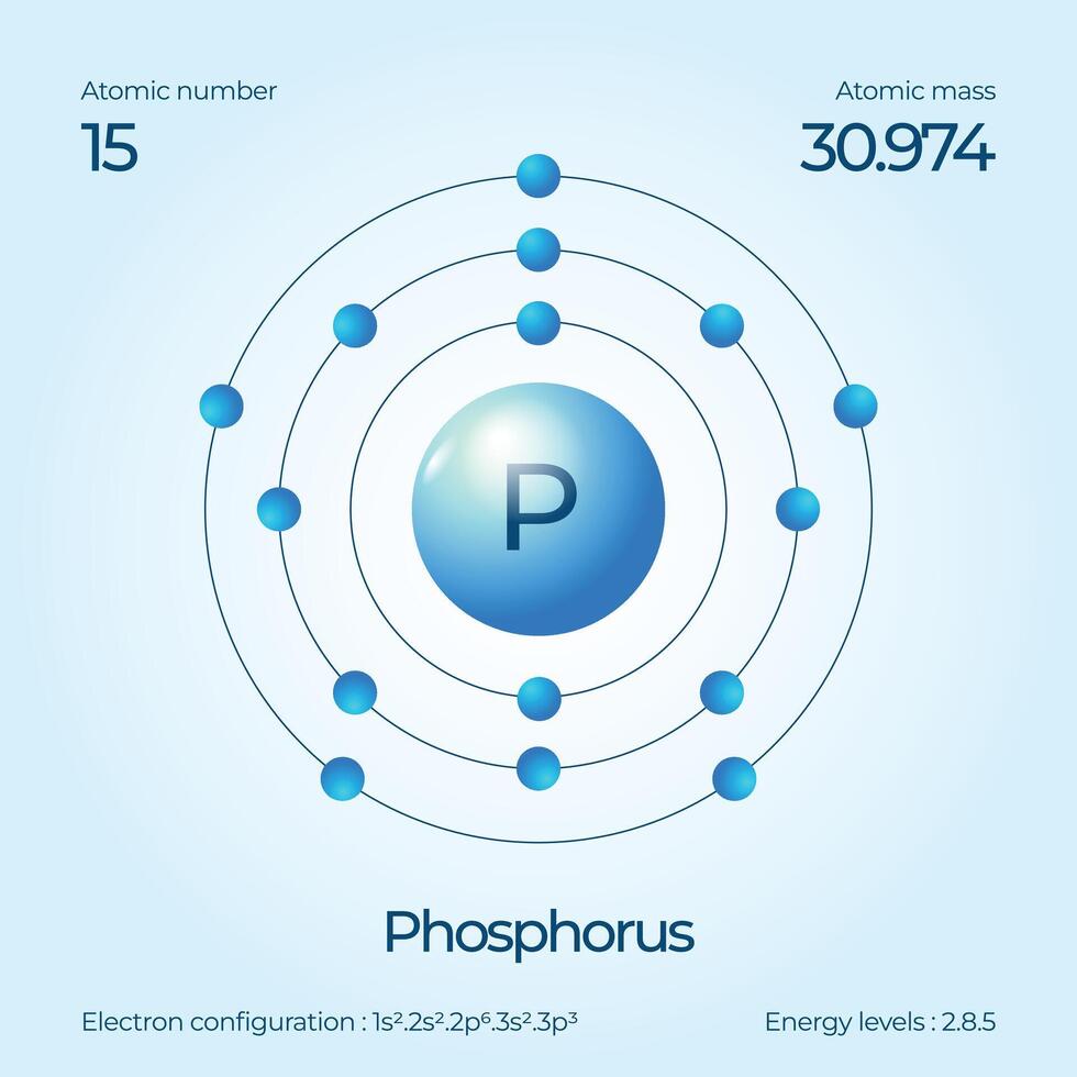 Atomic structure illustration Phosphorus vector