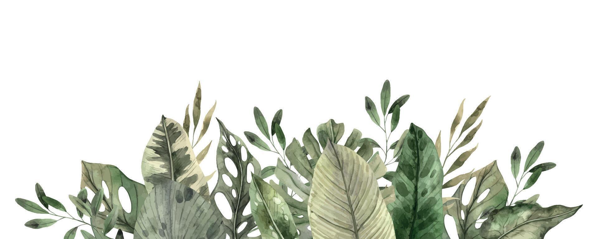 Monstera, banana, calathea, colocasia, philodendron. Watercolor tropical border in monochrome style, floral and plant trend. Composition for invitations, cards, packaging design and holidays. vector