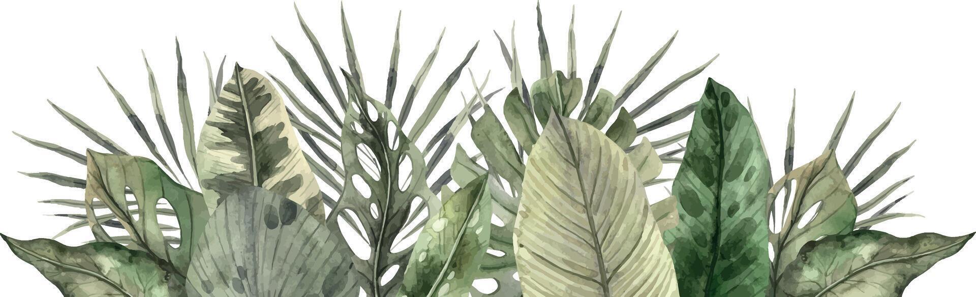 Monstera, calathea, dieffenbachia, palm, banana leaves. Watercolor tropical composition in monochrome style, floral and plant trend. Drawing for invitations, cards, packaging, holidays, posters. vector