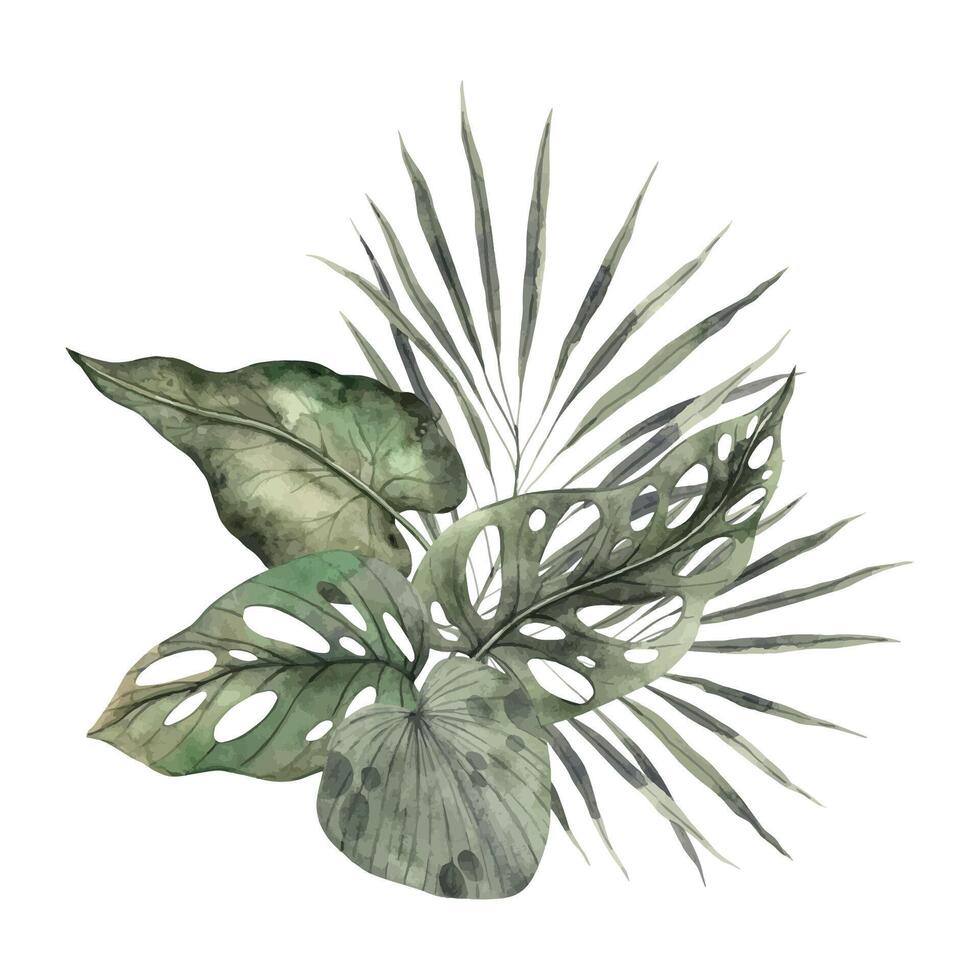 Composition of tropical leaves of fan palm, monstera, strelitzia. Watercolor composition drawn by hand on an isolated background. Botanical illustration for design of invitations, cards, holidays vector