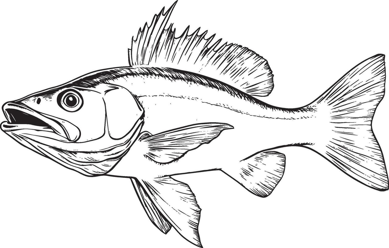 a black and white drawing of a fish vector
