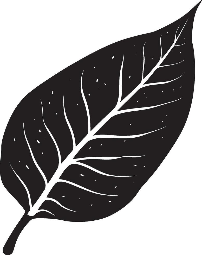 a black, and white illustration of a leaf vector