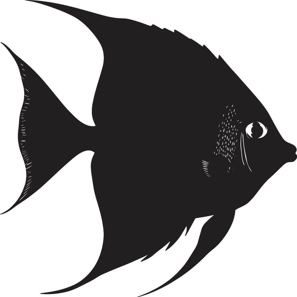 a black and white silhouette of an angelfish vector