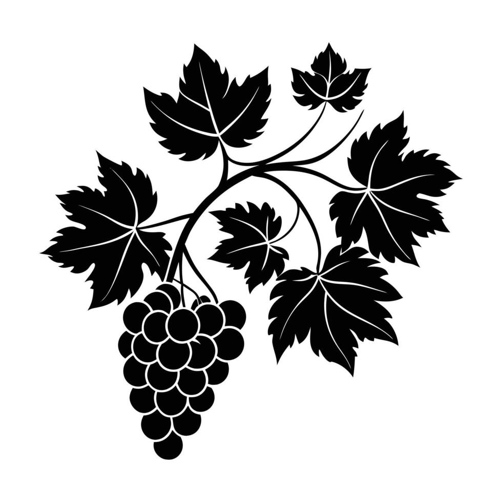 Grape fruit silhouette illustration vector