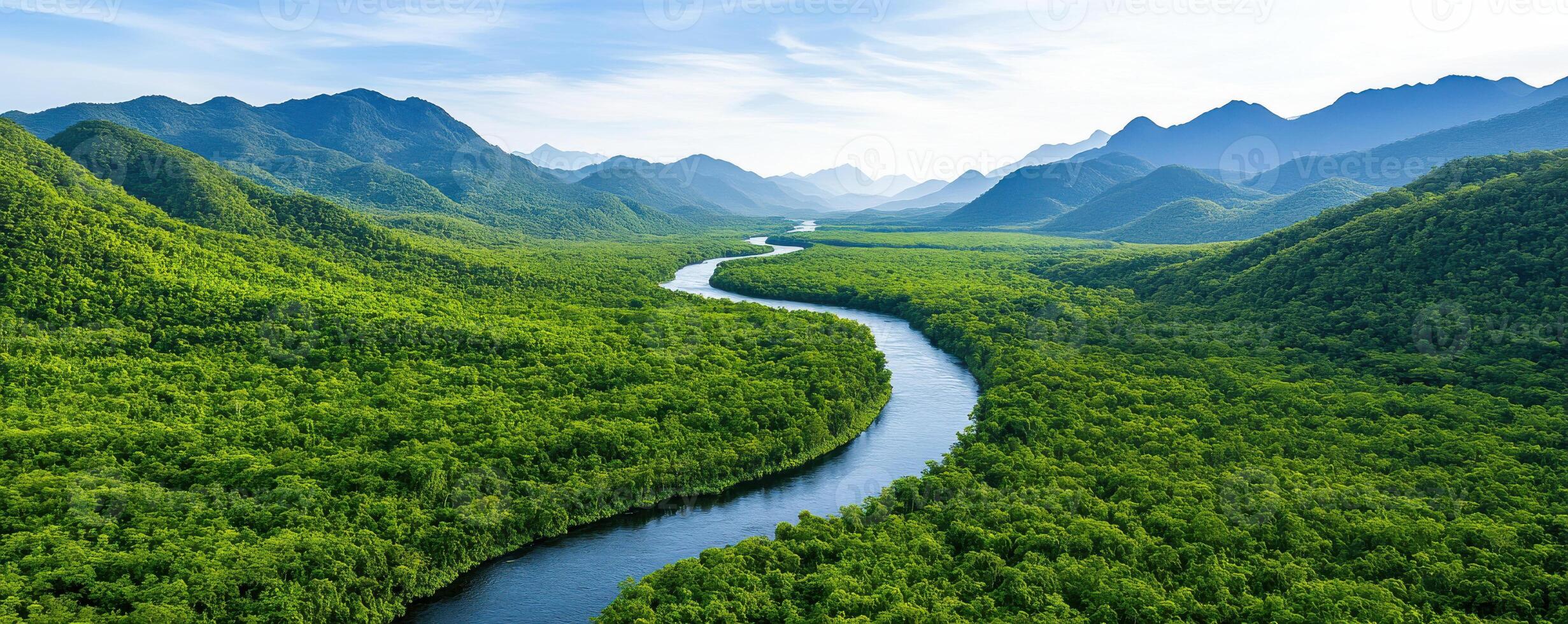 Aerial view of winding river through lush green forest landscape photo