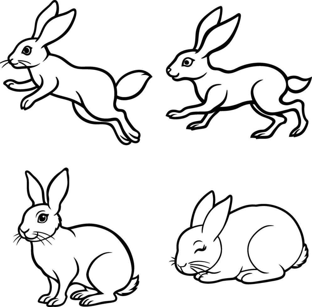 A beautiful rabbit line art set. vector