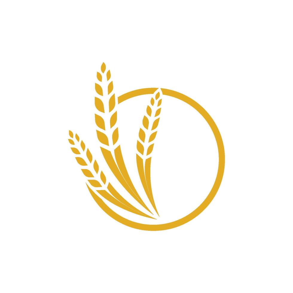 Wheat Logo icon gold vector