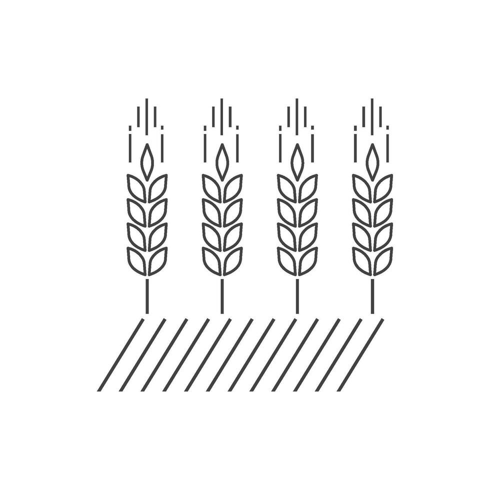 Wheat Logo icon line design vector