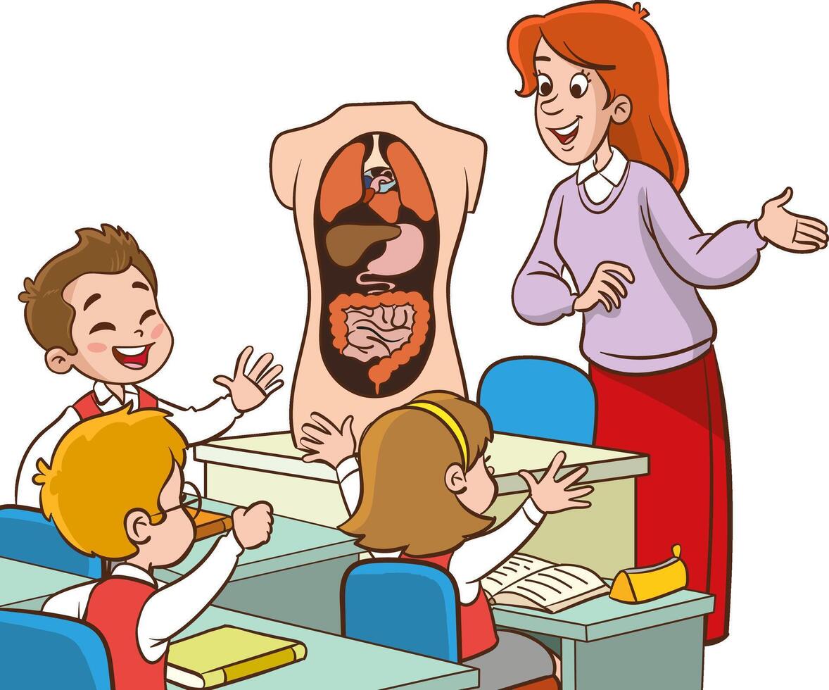 Biology Teacher Engages Curious Kids in Class, Developing Love for Science as They Explore Human Organs Through Interactive Lessons and Hands-on Experiments. Illustration vector