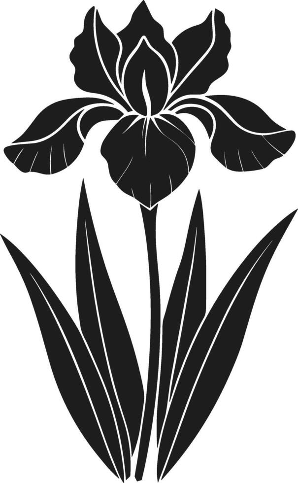Elegant Iris Flower Silhouette - Spring Botanical Illustration vector