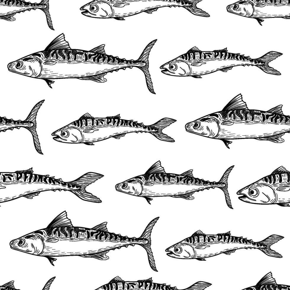 Mackerel black white seamless pattern. Bluefish monochrome sketch hand drawn. King sea fish painted engraving repeated texture. Bonito tuna graphic background design for package, fabric. vector