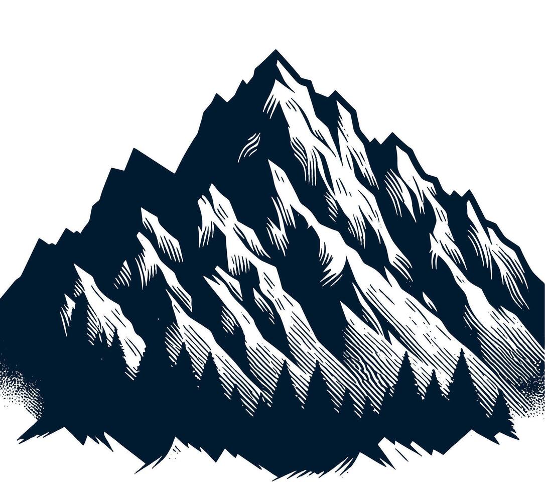 Mountain with pine trees and snow on a white background vector