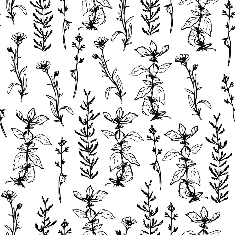 Outline seamless floral pattern wild herbs flowers and grass botanical decor vector