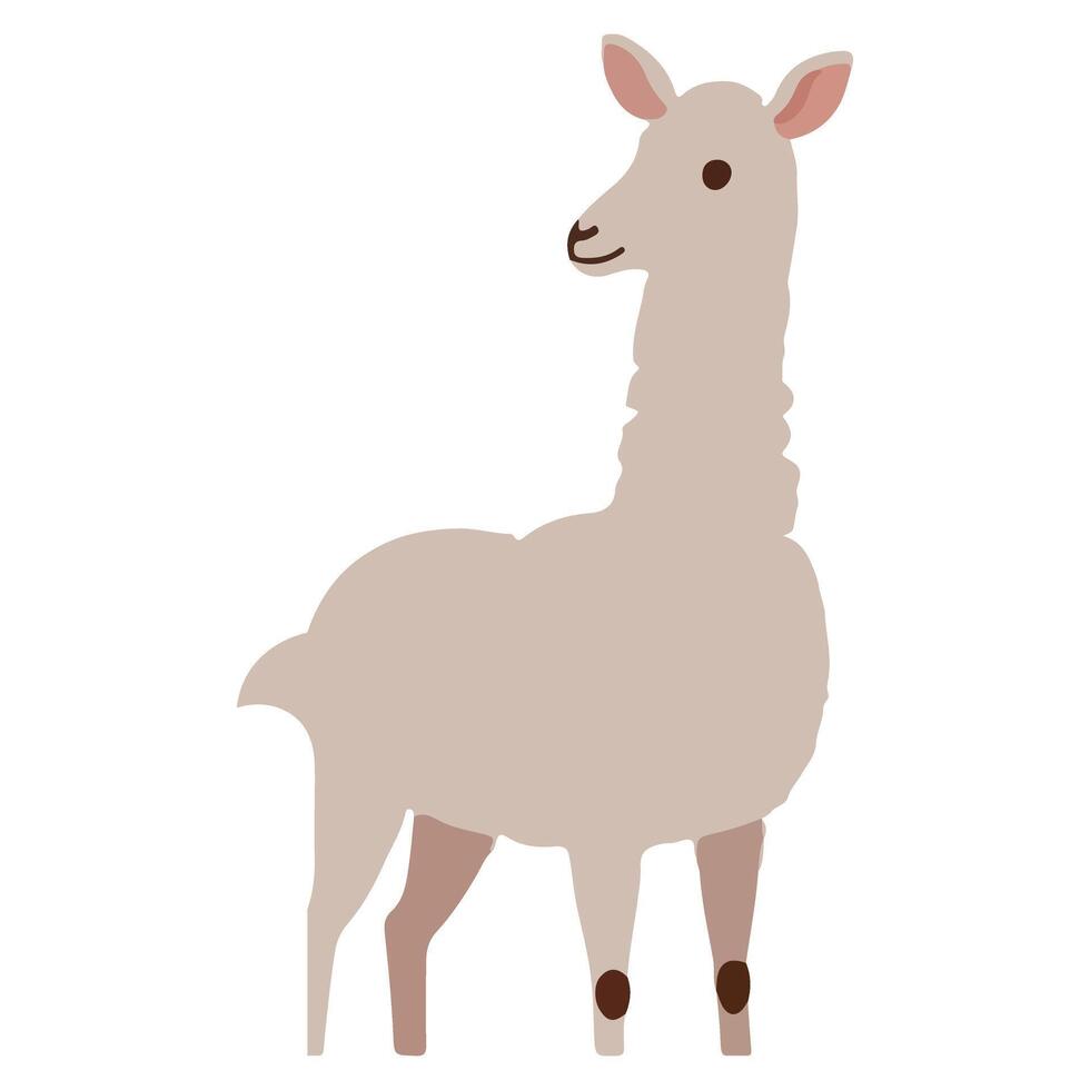 Llama Animal Fluffy Wool Cute Illustration Design vector