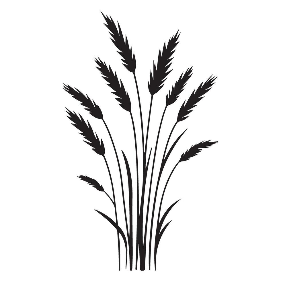 Grass wheat field silhouette illustration nature agriculture harvest element vector