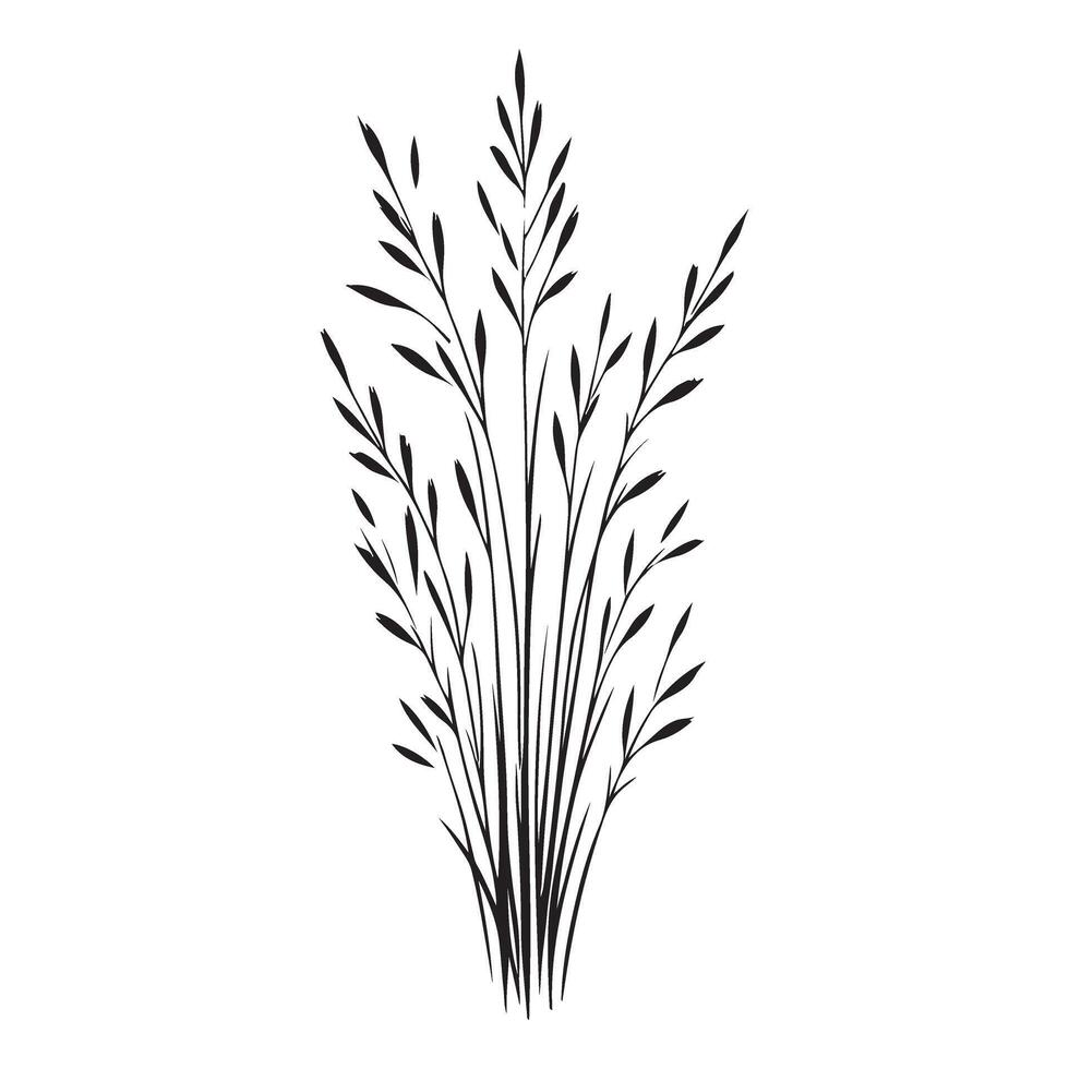 Graceful Meadow Grass Silhouette Illustration Serene Nature vector
