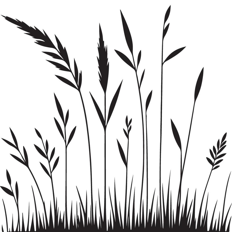 Wild Grass Silhouette Illustration Meadow Plants Design Art vector
