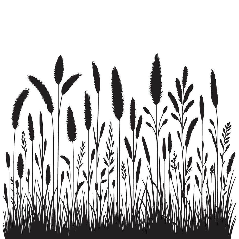 Wild Grass Silhouette Illustration for Natural Landscape Scenery vector