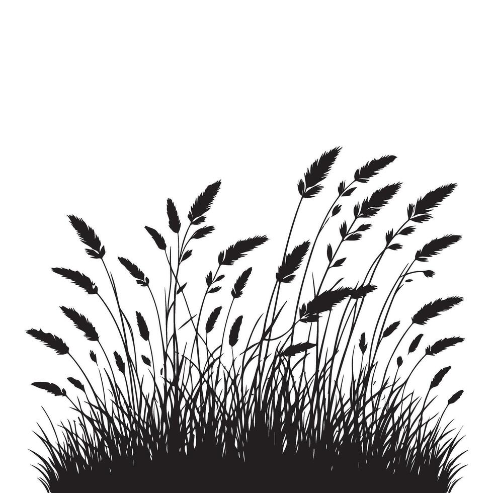 Wild Grass Silhouette Meadow Field Detailed Illustration Graphic vector