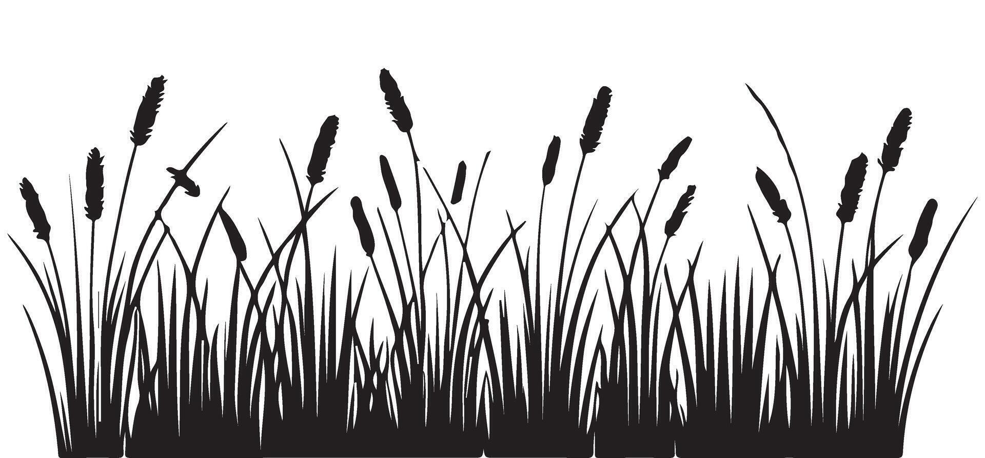 Silhouette Marsh Grass Cattails Illustration For Nature Designs vector