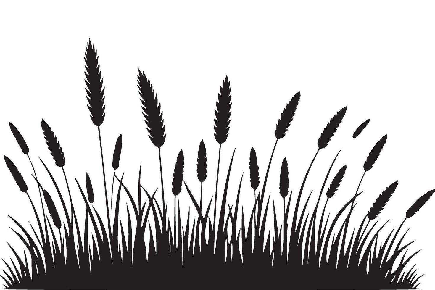 Black and white grasses illustration design graphic element vector