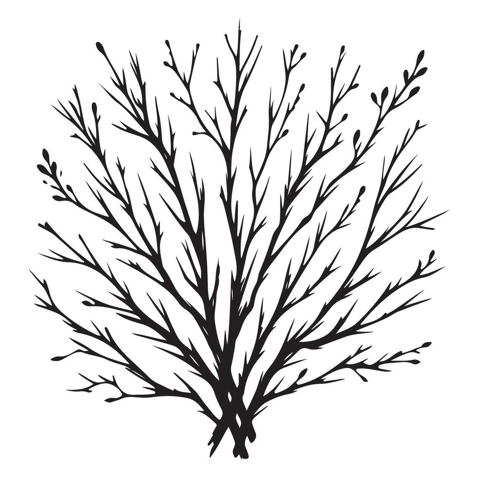 Bush with bare branches artistic winter shrub graphic vector