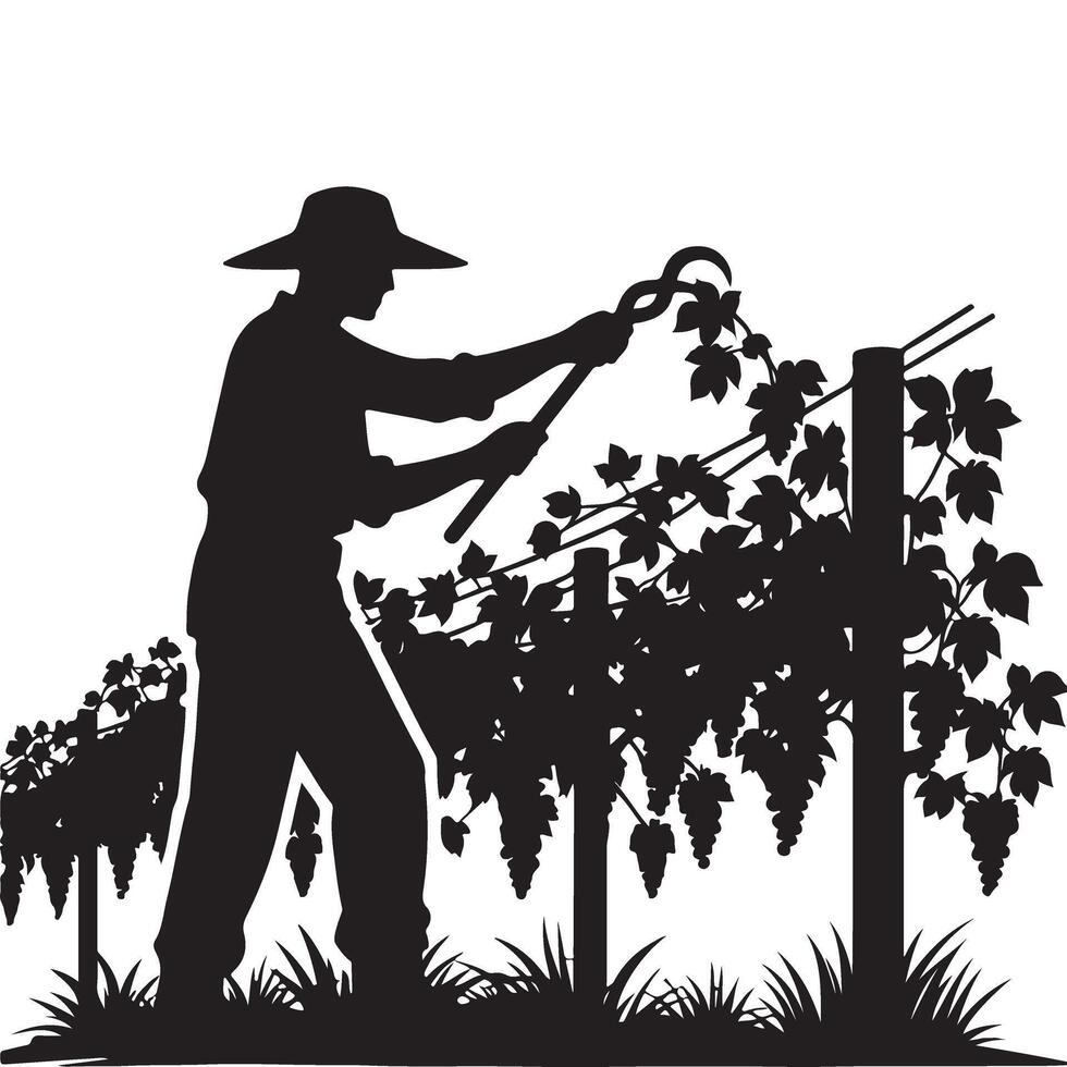 Grape vine pruning illustration vineyard management agriculture silhouette art vector